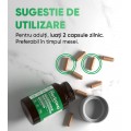 Herboxa® Lungwort - 60 Capsule
