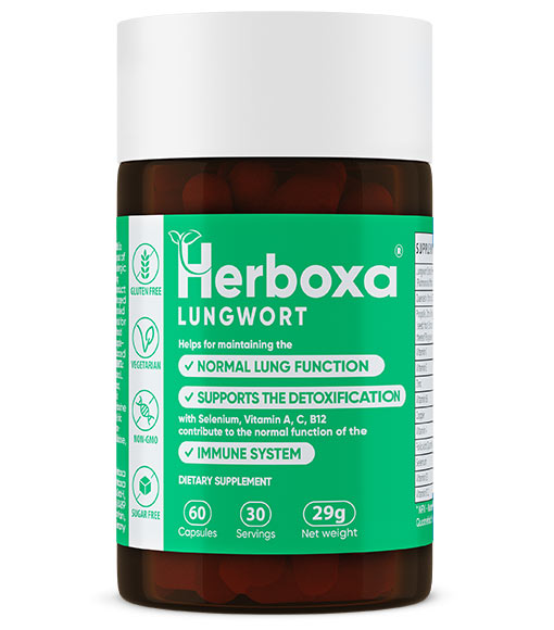 Herboxa® Lungwort - 60 Capsule