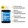 COLON 14 Day Cleanse COLON 14 Day Cleanse