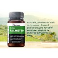 Saw Palmetto