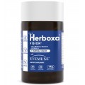 Herboxa EyeHealth | Natural HERBOXA® VISION | Out of Stock