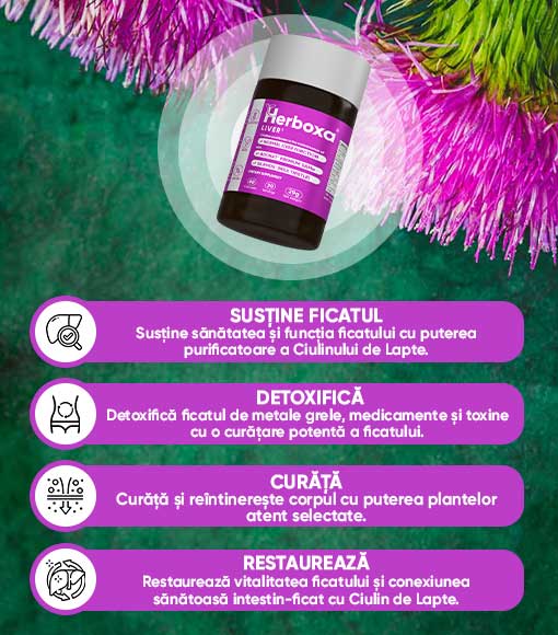 HERBOXA® LIVER