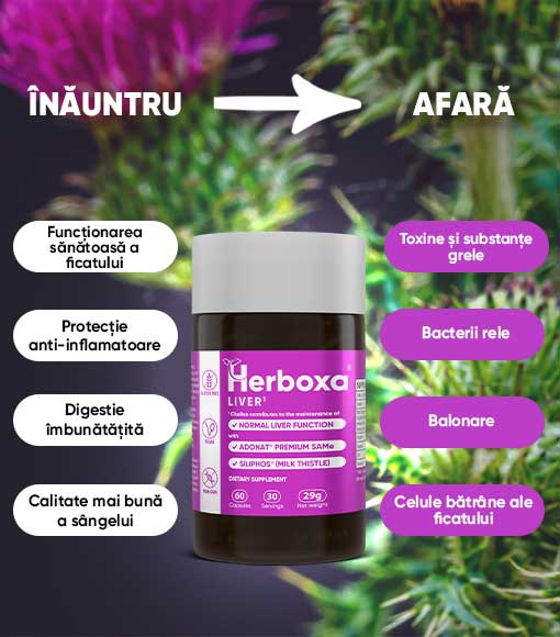 HERBOXA® LIVER