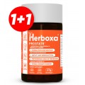 Herboxa® PROSTATE 
