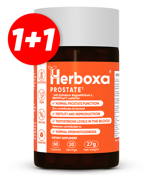 Herboxa® PROSTATE 