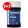 Herboxa EyeHealth | Natural HERBOXA® VISION