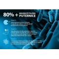 Herboxa Probiotic 60 Billion - 30 de capsule