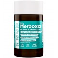 Herboxa Probiotic 60 Billion | Suplimentul alimentar 